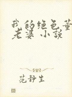 我的绝色董事长老婆 小说