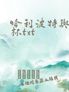 哈利波特与火焰杯txt