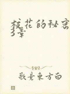 校花的秘密第23章