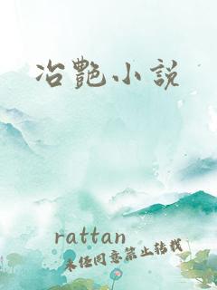 冶艳小说