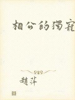 相公的独宠妻子