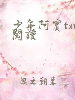 少年阿宾txt阅读