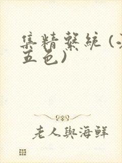 集精系统 (江五色)