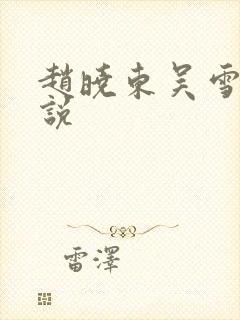 赵晓东吴雪晴小说