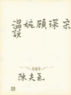 温婉顾琛宋芝小说