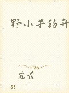 野小子的升官路
