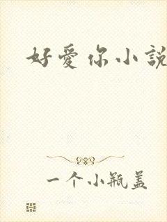 好爱你小说