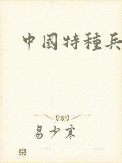 中国特种兵小说