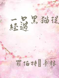 一只黑猫从眼前经过