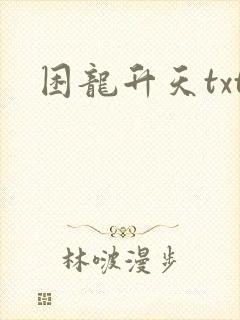 困龙升天txt