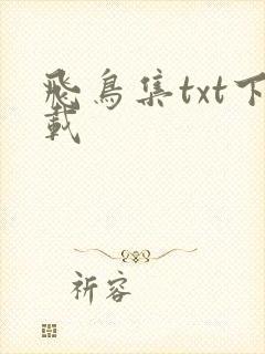 飞鸟集txt下载