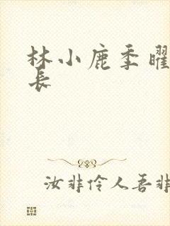 林小鹿季曜珉机长