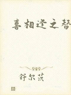 喜相逢之替身情