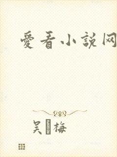 爱看小说网