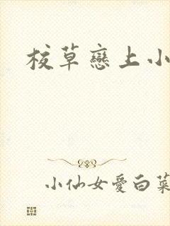 校草恋上小丫头