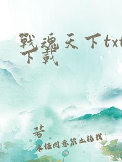 战魂天下txt下载