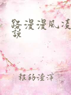 路漫漫风凌轩小说
