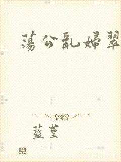 荡公乱妇翠翠
