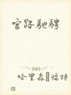 官路驰骋