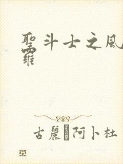 圣斗士之风舞娑罗