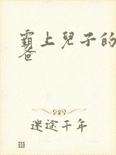 霸上儿子的总裁爸