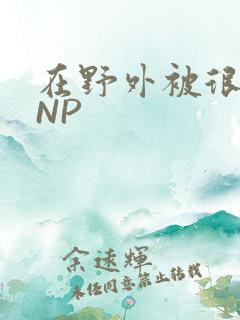 在野外被很多人NP