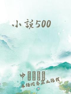 小说500