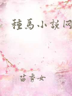 种马小说网