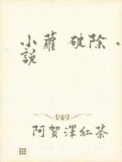 小萝 破除 小说