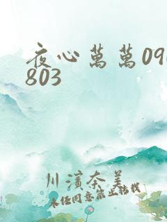 夜心万万090803