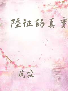 陆征的真实身份