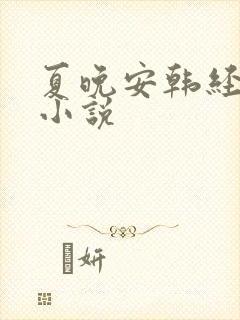 夏晚安韩经年的小说