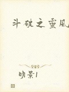 斗破之灵风