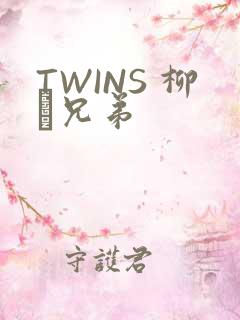TWINS 柳澤兄弟