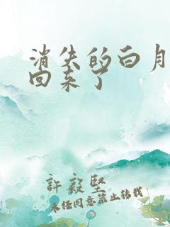 消失的白月光又回来了