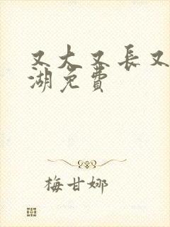 又大又长又租高湖免费