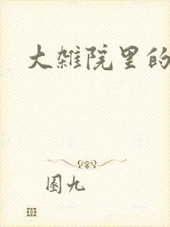 大杂院里的女人