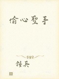 偷心圣手