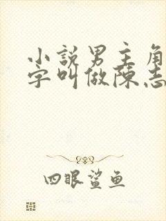 小说男主角的名字叫做陈志远