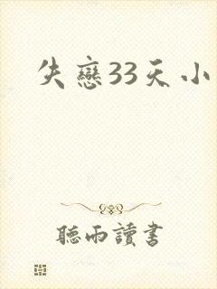 失恋33天小说