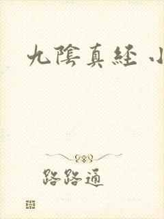 九阴真经 小说