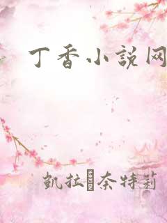 丁香小说网