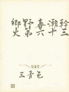 乡野春潮干柴烈火第六十三章