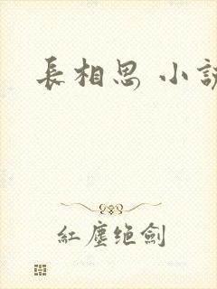 长相思 小说