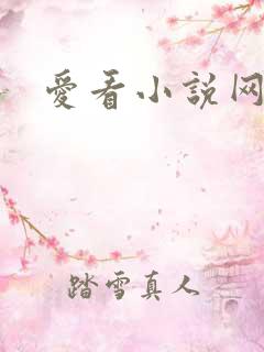 爱看小说网