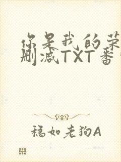 你是我的荣耀未删减TXT番外