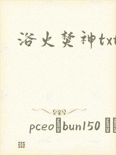 浴火焚神txt