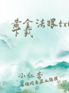 黄金法眼txt下载