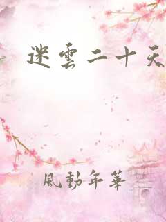迷云二十天