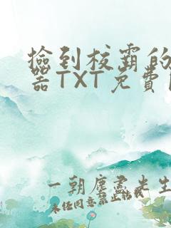 捡到校霸的遥控器TXT免费阅读